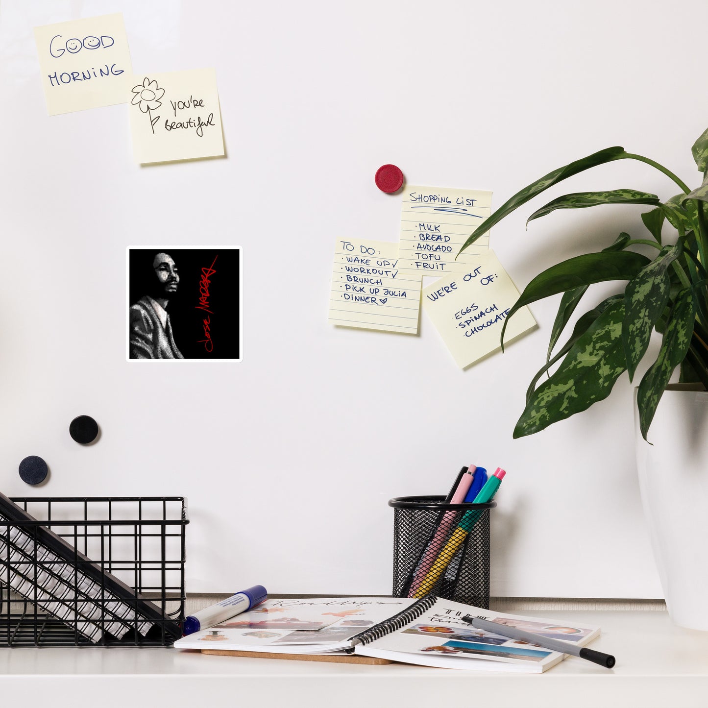 Imán José Madera en rojo